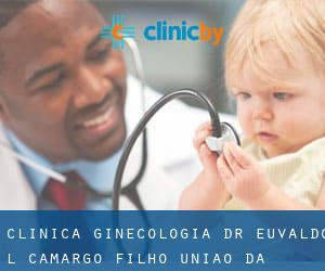 Clínica Ginecologia Dr Euvaldo L. Camargo Filho (União da Vitória)